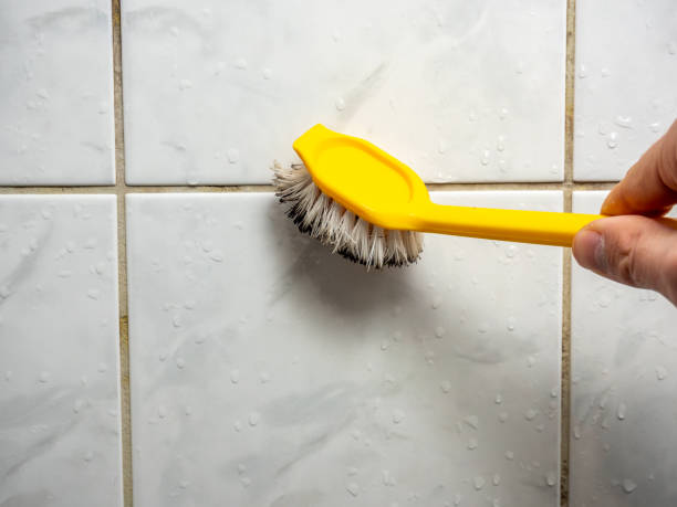 Certified Mold Removal in Brentwood, MD