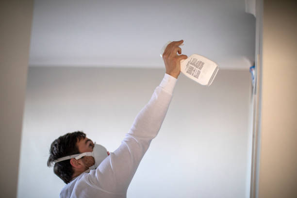 Best Commercial Mold Removal  in Brentwood, MD
