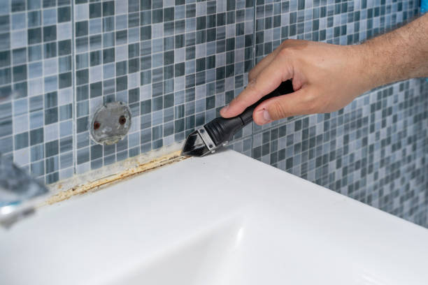 Best Office Mold Removal Services  in Brentwood, MD